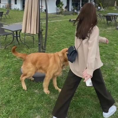 伊人制造